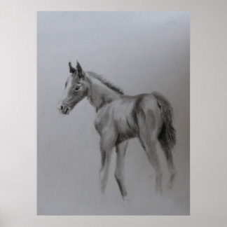 Póster Recién nacido