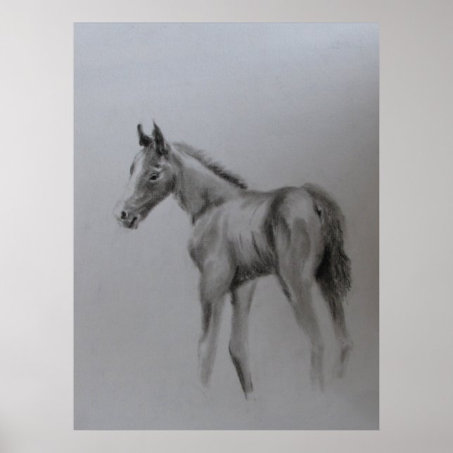 Póster Recién nacido (Frente)