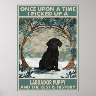 Póster Recogí a un labrador poster de cachorros