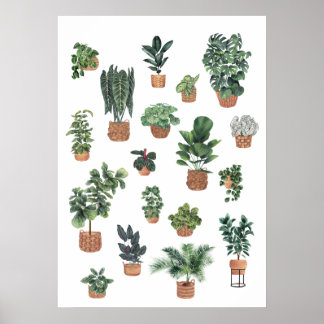 Póster Recogida de plantas 6