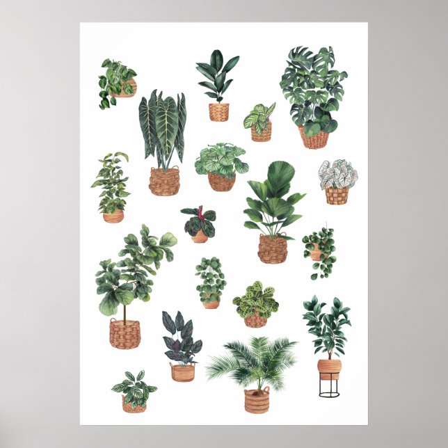 Póster Recogida de plantas 6 (Frente)