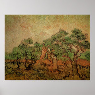Póster Recolección de aceitunas por Vincent van Gogh