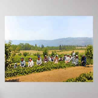 Póster Recolección de fresas Hood River Valley Oregon c19
