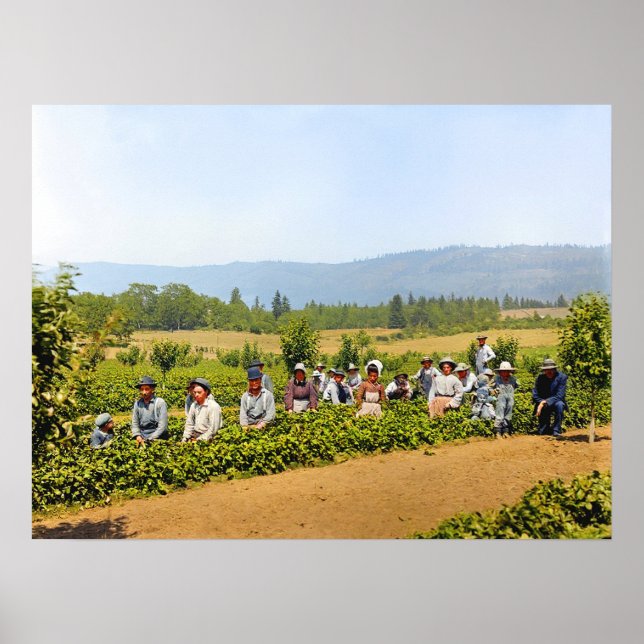 Póster Recolección de fresas Hood River Valley Oregon c19 (Frente)