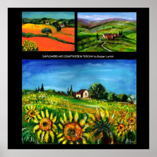 PÓSTER RECOPILACIÓN DE FLUJOS Y PAÍSES EN LA TOSCANA