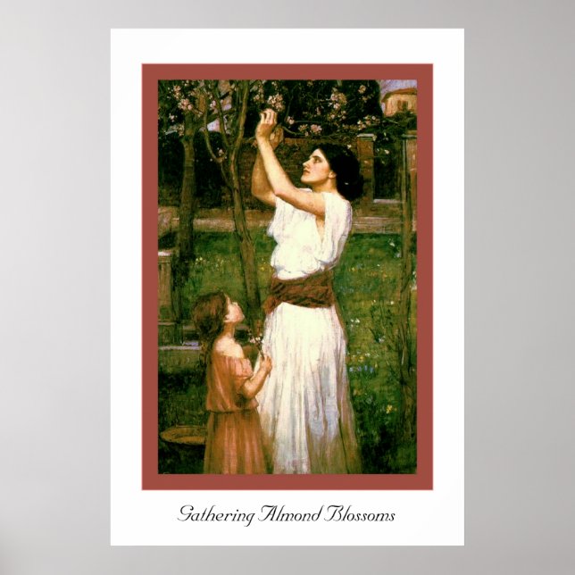 Póster Recopilando flores de almendras (Frente)