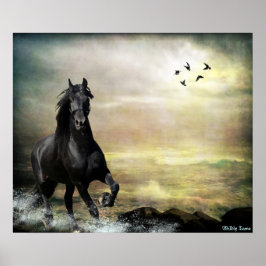 Póster Recorrer la marea