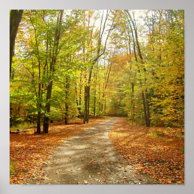 Póster Recorrido de otoño (Frente)