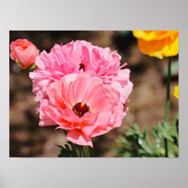 Póster Recortar en rosa (Frente)