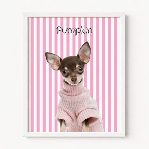 Póster Recortar foto de perro familiar con franja rosa y 