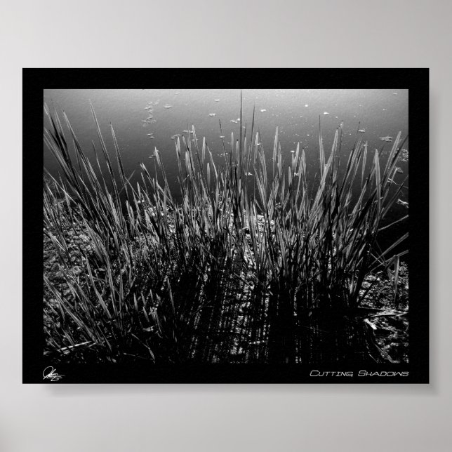 Póster Recortar sombras (Frente)