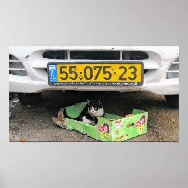 Póster Recuadro 1 (Frente)