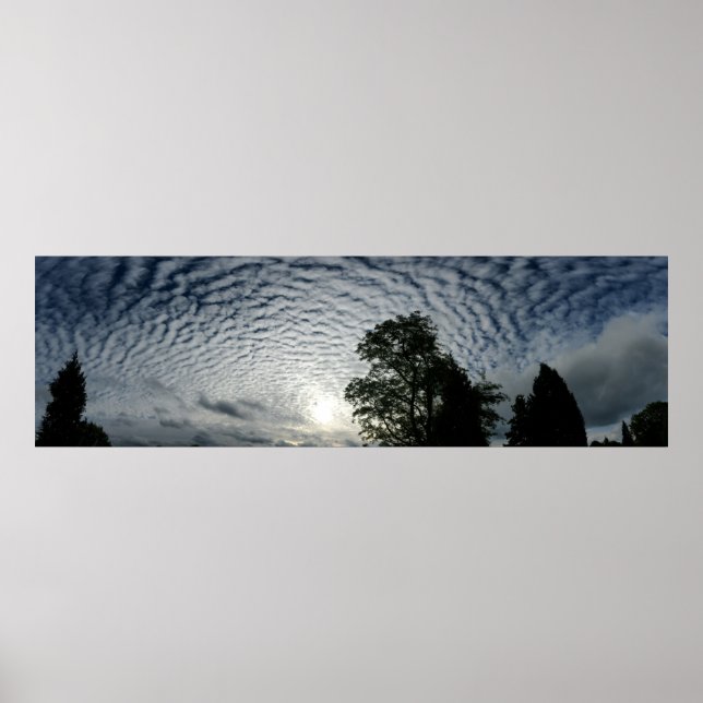 Póster Recuento de ovejas (Frente)