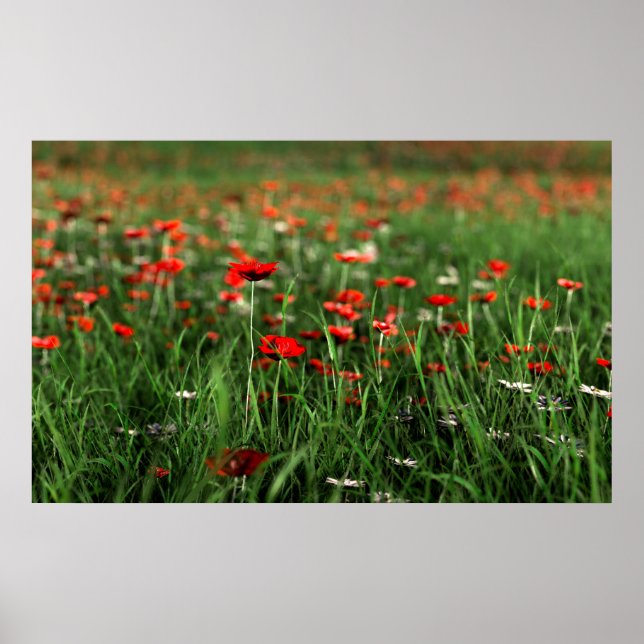 Póster Recuento (Día de Recuerdo) (Frente)