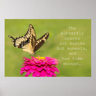 Póster Recuentos de mariposa