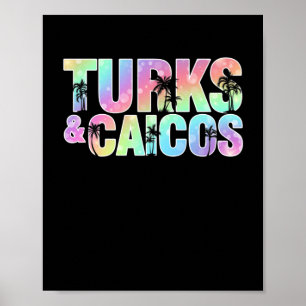Póster Recuerdo de palmeras de Turcas y Caicos