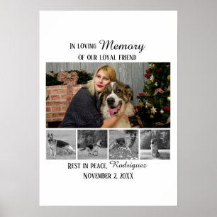 Póster Recuerdo de Perro 5 Colaje de Fotos Tributo de Mas