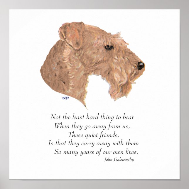 Póster Recuerdo del Puente Arcoíris (Frente)