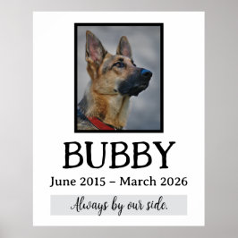 Póster Recuerdo Funeral Pérdida de Mascota En Nuestros Co