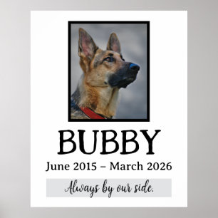 Póster Recuerdo Funeral Pérdida de Mascota En Nuestros Co