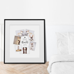 Póster Recuerdo Personalizado de Mascota con Múltiples Fo