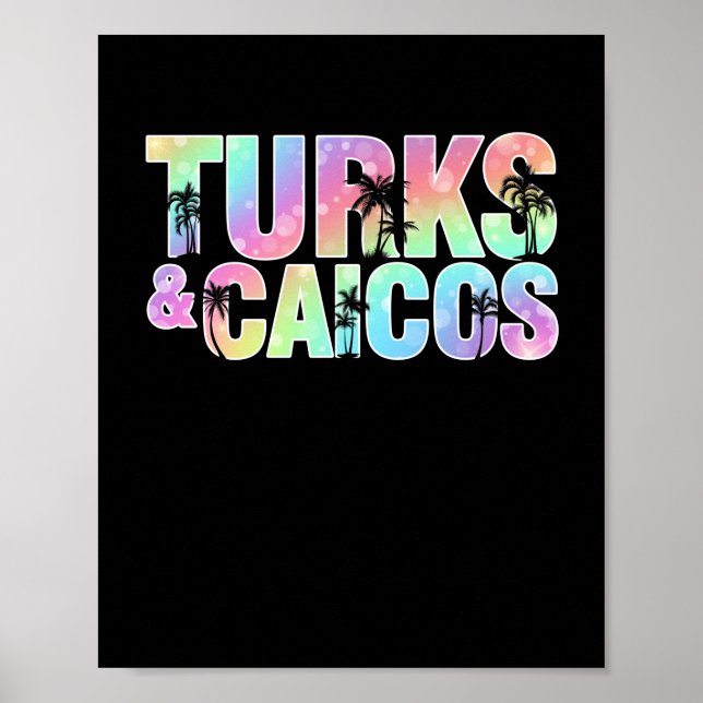 Póster Recuerdos de palmeras de Turcas y Caicos (Frente)
