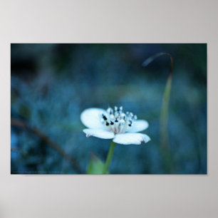 Póster Recuerdos de verano