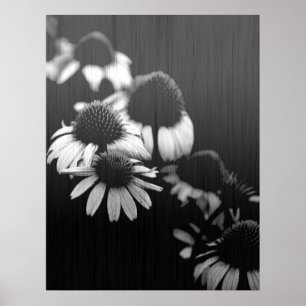 Póster Recuerdos desvanecidos