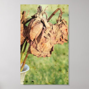 Póster Recuerdos desvanecidos