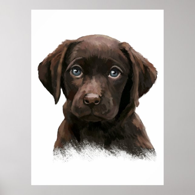 Póster Recuperación de Labrador de chocolate (Frente)