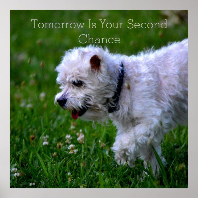 Póster Recuperación mañana Poster (Frente)