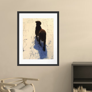 Póster Recuperador de bahía de Chesapeake