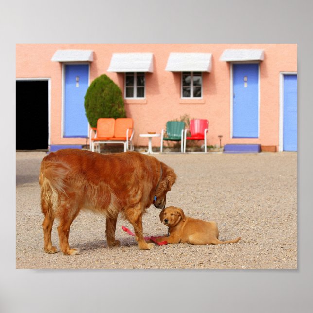 Póster Recuperadores de oro en el Motel Blue Swallow (Frente)