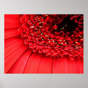 Póster Red