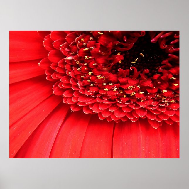 Póster Red (Frente)