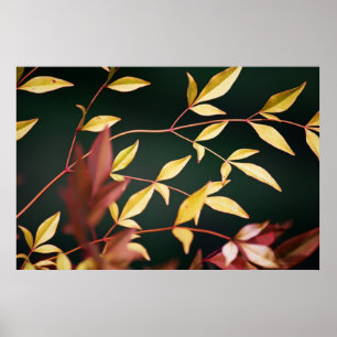 Póster Red and Gold Print