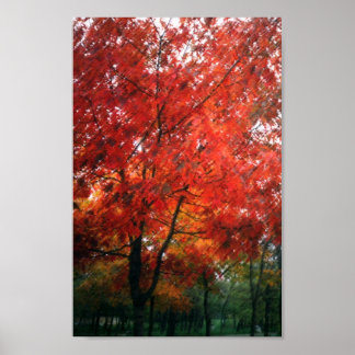 Póster Red Autumn Tree
