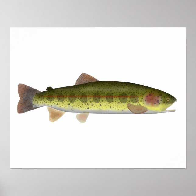 Póster Red band Trout (Frente)