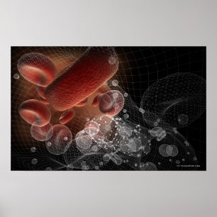 Póster Red blood cells in wireframe