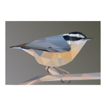 Red-breasted Nuthatch Landscape Poster