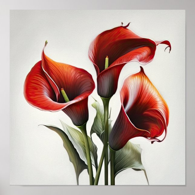 Póster Red Calla Lilies Lily Flor Art Print Poster (Frente)