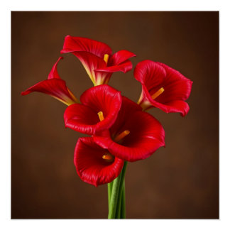 Póster red callas