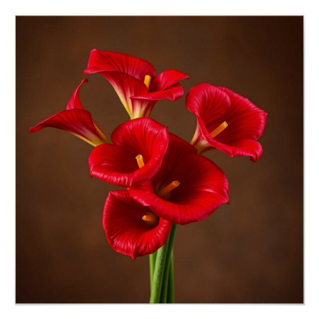 Póster red callas (Anverso)