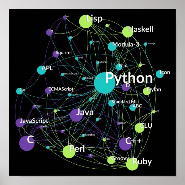 Póster Red de Influencia en Lenguaje de Programación Pyth (Frente)