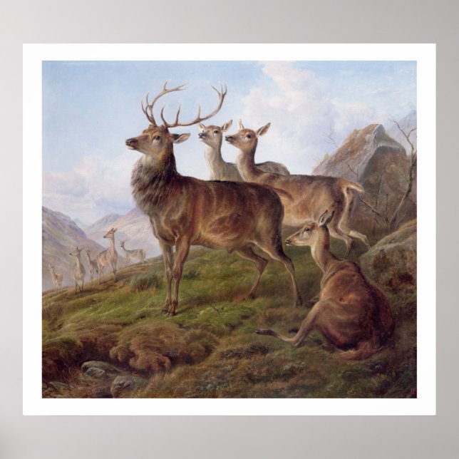 Póster Red Deer in a Highland Landscape, 1872 (oil on can (Frente)