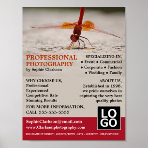 Póster Red Dragonfly, fotografía, contratación de fotógra