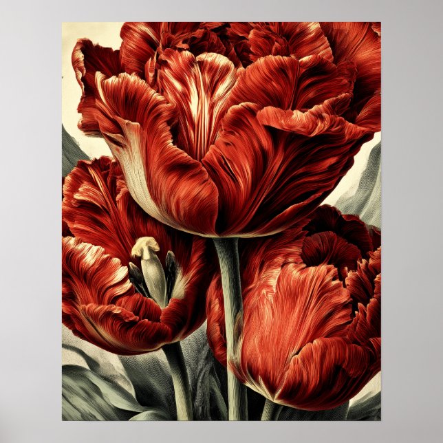 Póster Red Dutch tulips (Frente)
