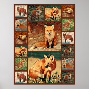 Póster Red Fox Collage