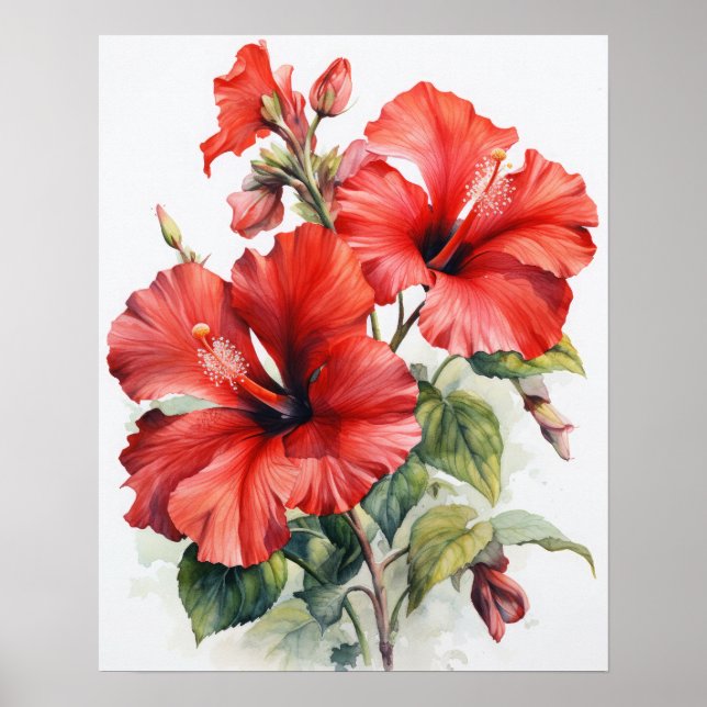 Póster Red Hibiscus Flowers Art Print Poster (Frente)