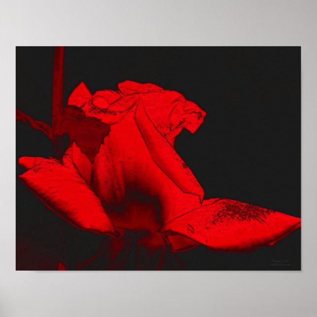 Póster Red Hot Rosebud Abstract Flower Art (Frente)